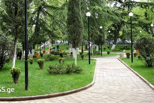 გამწვანებული ტერიტორიების მოწყობა