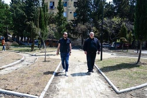 გამწვანებული ტერიტორიების მოწყობა