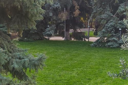 მებაღეები, ეზოს გამწვანება, ნარგავების მოვლა