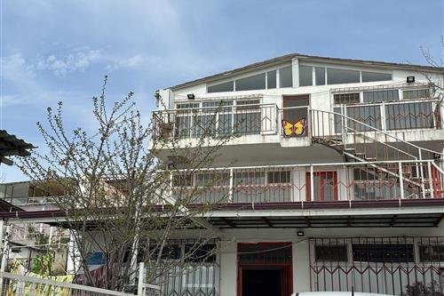 მოხუცთა თავშესაფარი პეპელა